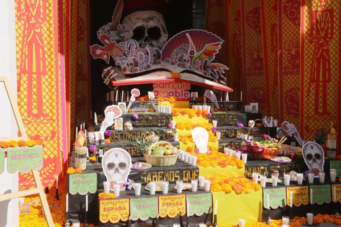 5d6d2f2b-9fdd-4f60-a2e0-851325a3af8c