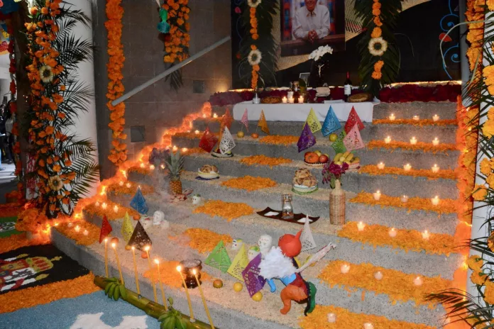 681e2940-b2e3-4f25-8b83-c1845c1ec946