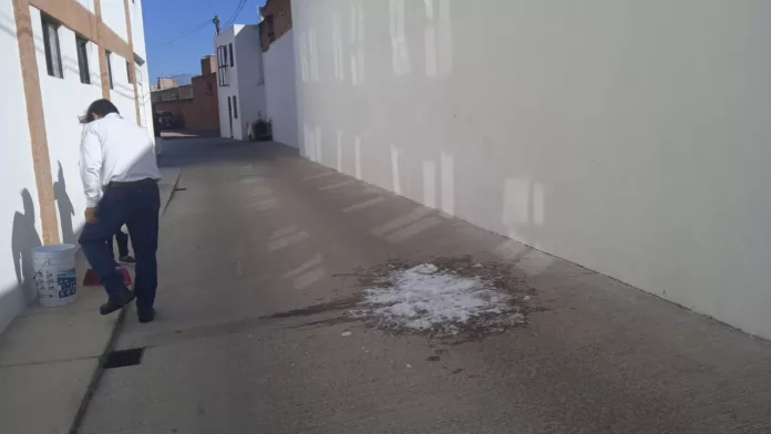 Imagen de WhatsApp 2025-10-20 a las 18.58.03_c34d2920