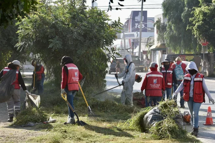 Imagen de WhatsApp 2025-10-27 a las 16.21.02_93c10ba1